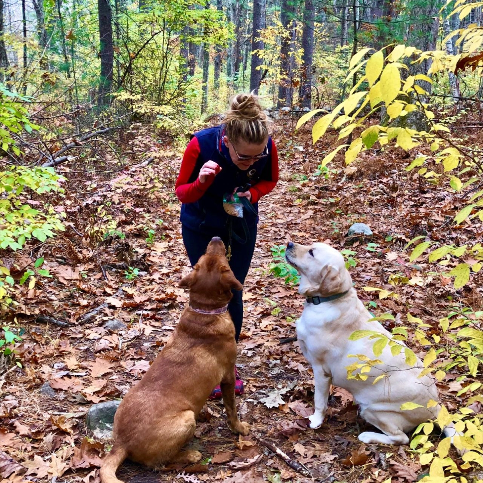 Lisa Nickerson on a forest trail with her dogs